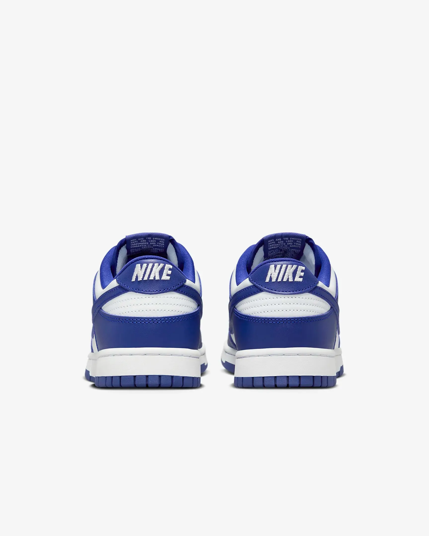 Nike Dunk Low Retro DV0833 103